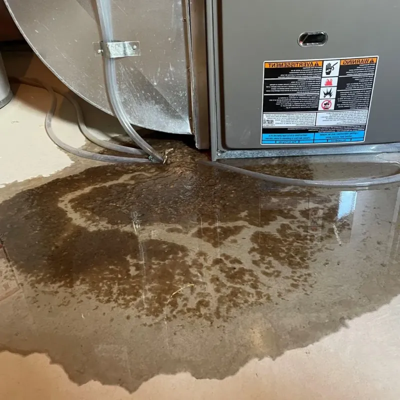 Pipe Burst and Leak Restoration in Monterey, VA