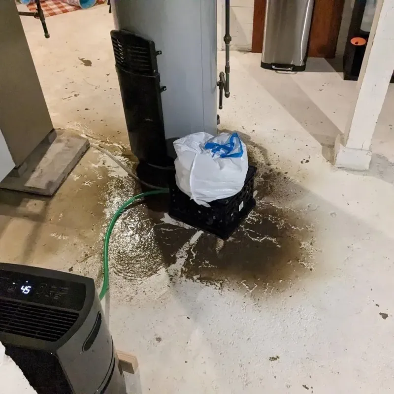 Sewage Backup Cleanup Service in Monterey, VA